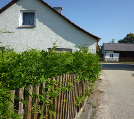 Maisons ~ feine Immobilien Wohnen in Ufernähe